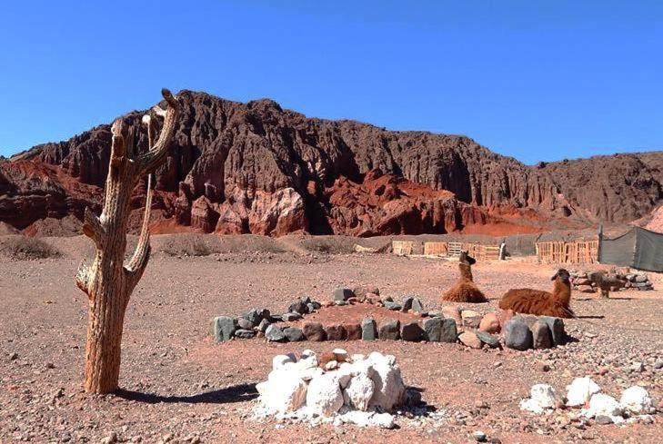 Hotel Rincon Del Cielo Salta Zewnętrze zdjęcie